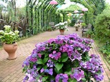 DSCF2543_R