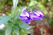 DSCF6036_R