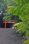 DSCF4447_R