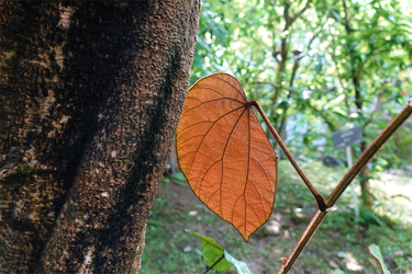 DSC03845_R