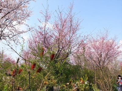 DSCF1755_R