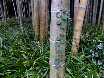 DSCF8595_R