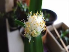 DSCF9716_R