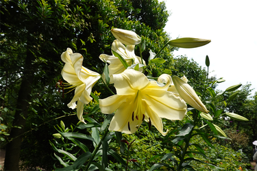 DSC08492_R