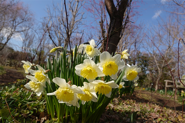 DSC00352_R