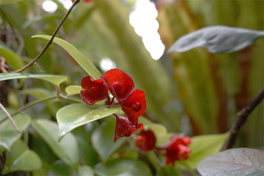 DSC00084_R