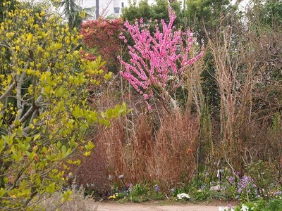 DSCF1437_R