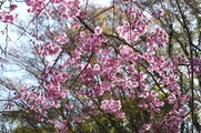 DSCF2060_R