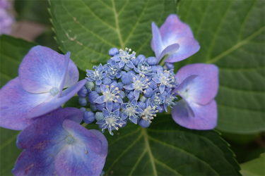 DSC08272_R