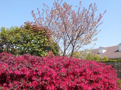 DSCF5469_R