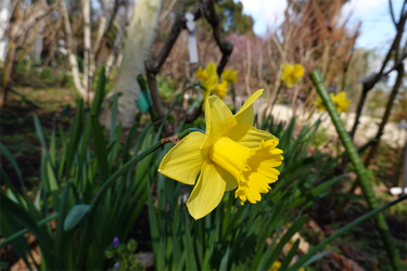 DSC00319_R