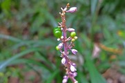 DSCF5340_R
