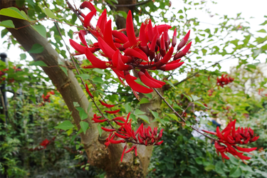 DSC08396_R