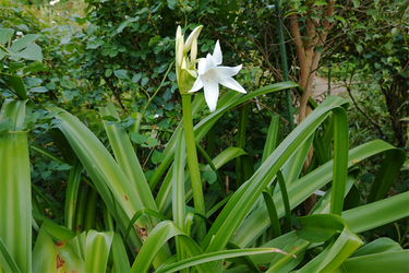 DSC02012_R