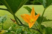 DSCF3901_R