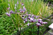 DSCF3839_R