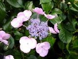 DSCF2222_R