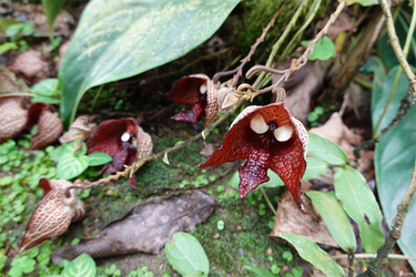 DSC03832_R