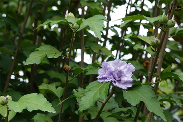DSC09283_R