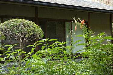 DSC08667_R