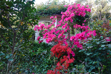 DSC06754_R