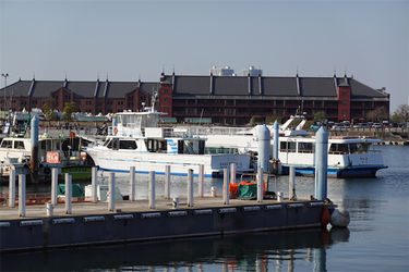 DSC00594_R