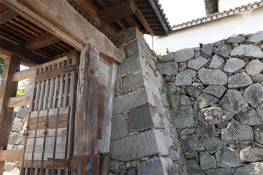 DSC08006_R