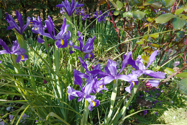 DSC06352_R