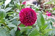 DSCF5013_R
