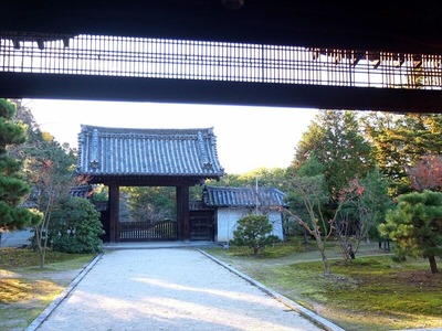 DSCF9560_R