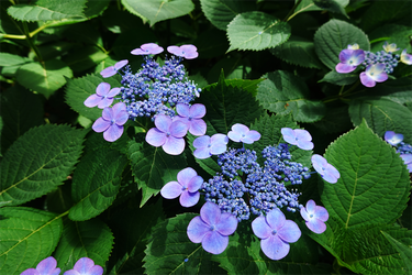 DSC08067_R