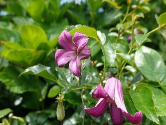DSC01228_R