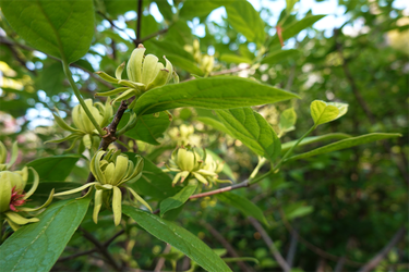 DSC06740_R