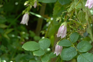 DSC09044_R