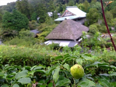 DSCF5269_R