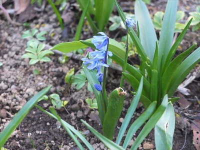 DSCF4697_R