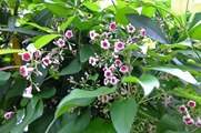 DSCF4071_R