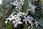 DSCF2479_R