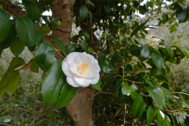 DSC05758_R