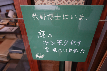 DSC03425_R