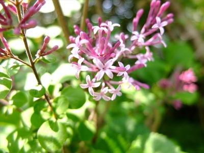 DSCF5647_R