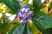 DSCF8185_R