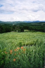 78e0655e.jpg