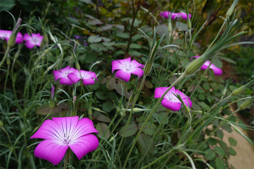 DSC06882_R