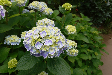 DSC08127_R