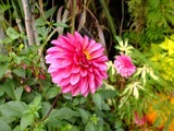 DSCF4320_R