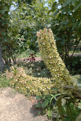 DSC08817_R