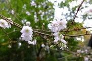 DSCF6907_R