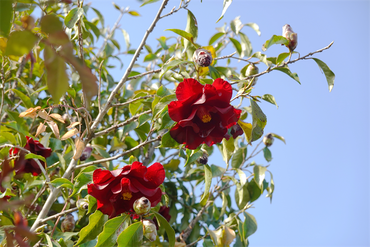 DSC06448_R