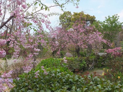 DSCF5333_R